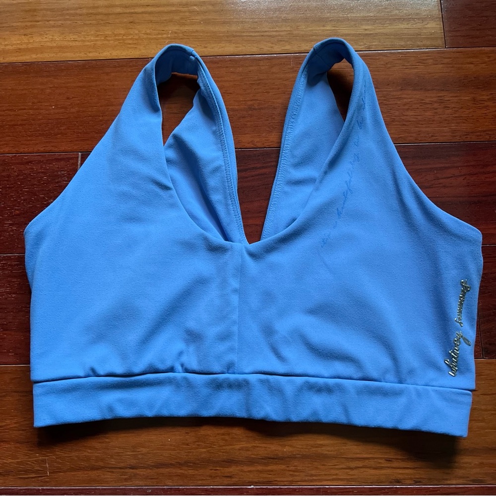 beautiful blue gymshark x whitney simmons v2 bra - Picture 1 of 4